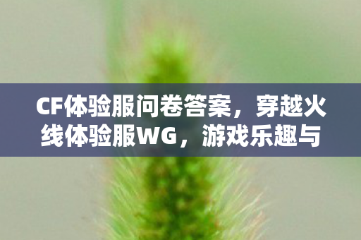 游戏乐趣与规则的平衡图片