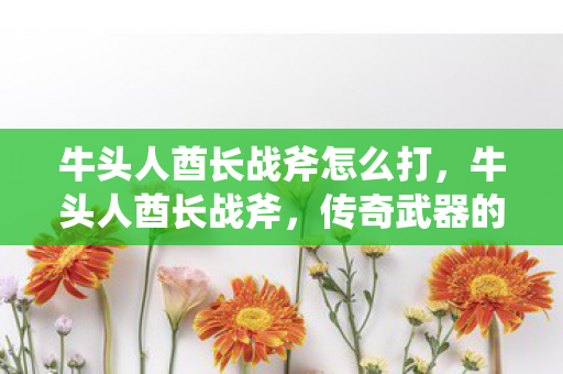 牛头人酋长战斧怎么打图片