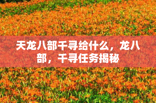 天龙八部千寻给什么图片