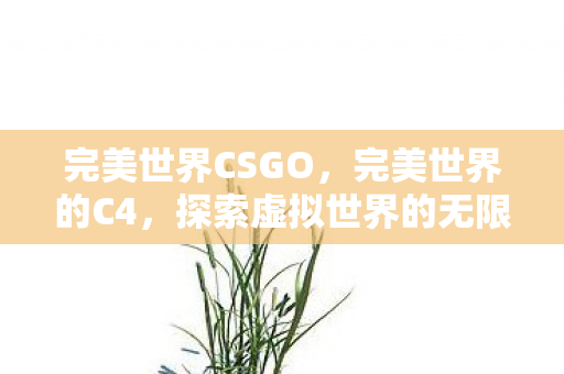 探索虚拟世界的无限可能图片