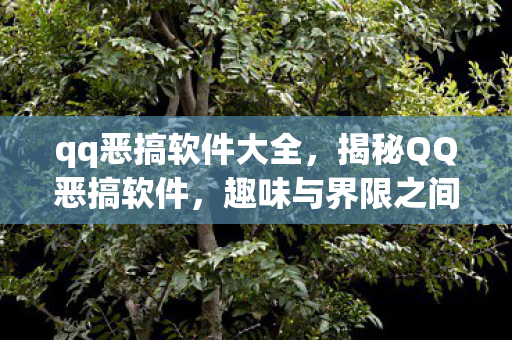 趣味与界限之间的灰色地带图片