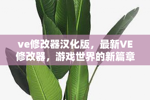 ve修改器汉化版图片