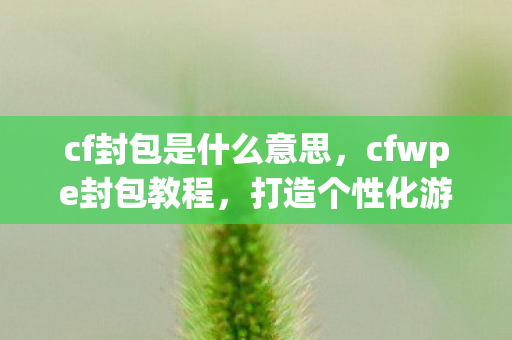 cf封包是什么意思图片