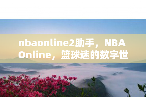 nbaonline2助手，NBA Online，篮球迷的数字世界