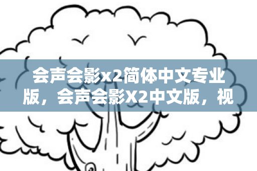 会声会影x2简体中文专业版图片