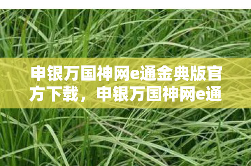 申银万国神网e通金典版官方下载图片