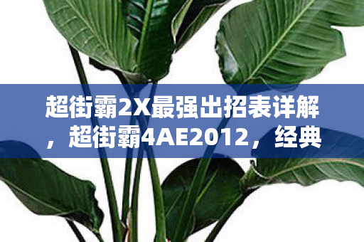 超街霸2X最强出招表详解图片