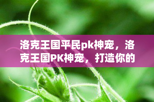 洛克王国平民pk神宠图片