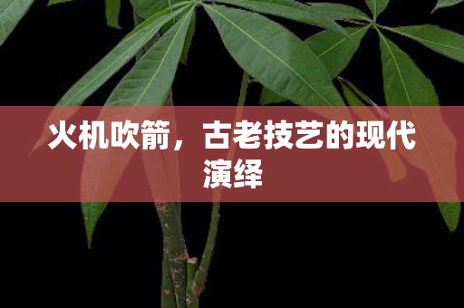 古老技艺的现代演绎图片