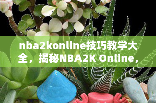 nba2konline技巧教学大全，揭秘NBA2K Online，实战技巧与攻略秘籍