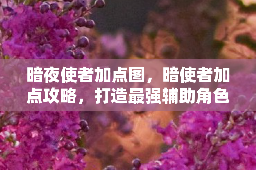 打造最强辅助角色图片