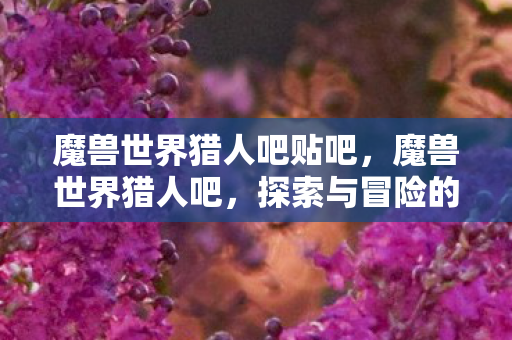 探索与冒险的无限可能图片