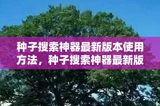 种子搜索神器最新版本使用方法图片