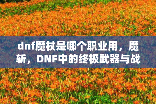 DNF中的终极武器与战斗艺术图片