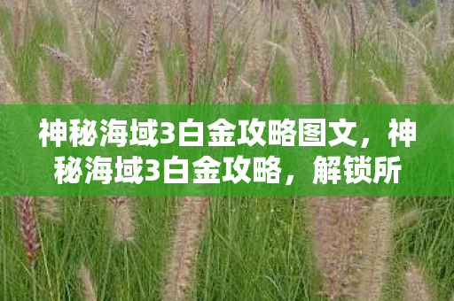 神秘海域3白金攻略图文图片