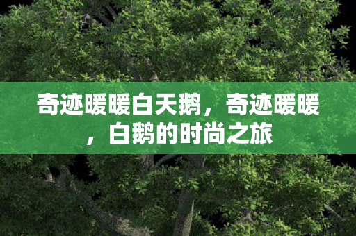 奇迹暖暖白天鹅图片