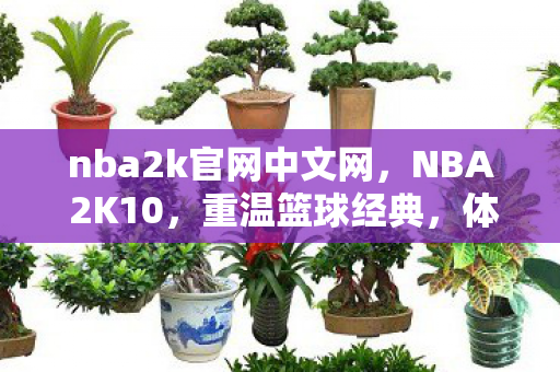 nba2k官网中文网，NBA 2K10，重温篮球经典，体验游戏魅力