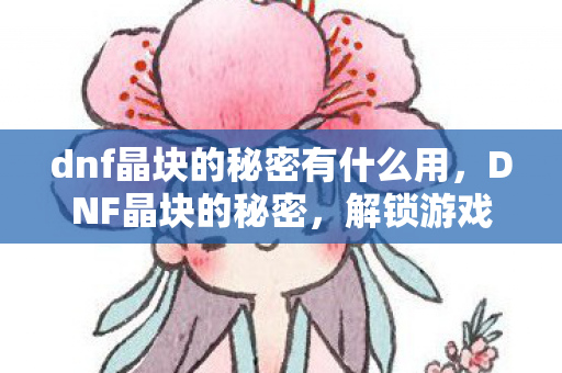 dnf晶块的秘密有什么用图片