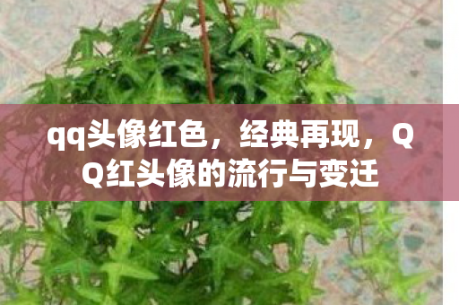 QQ红头像的流行与变迁图片