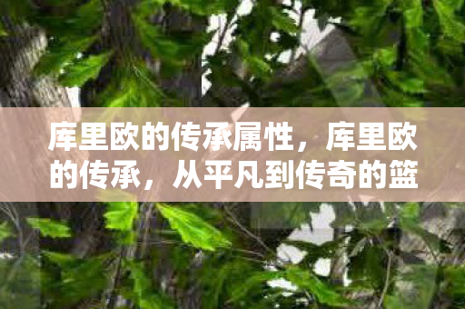 从平凡到传奇的篮球之旅图片