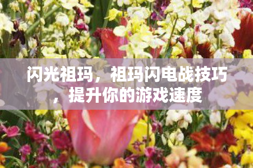 提升你的游戏速度图片