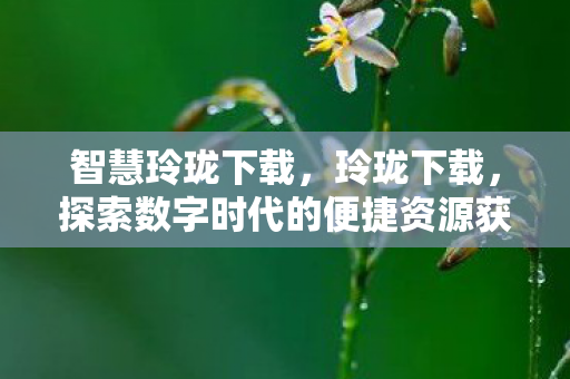 探索数字时代的便捷资源获取方式图片