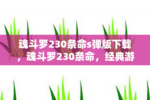 魂斗罗230条命s弹版下载图片