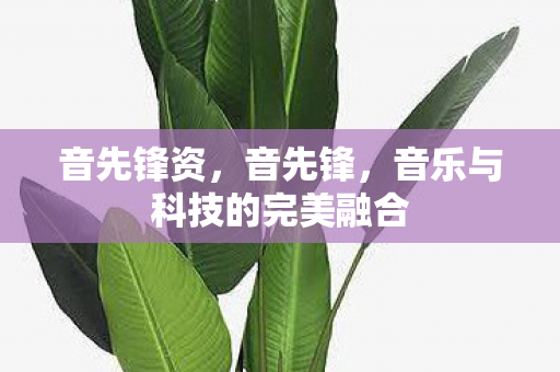 音乐与科技的完美融合图片