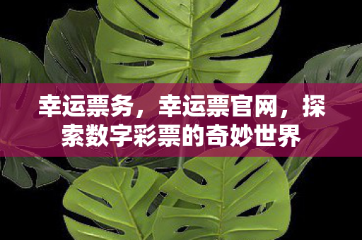 探索数字彩票的奇妙世界图片