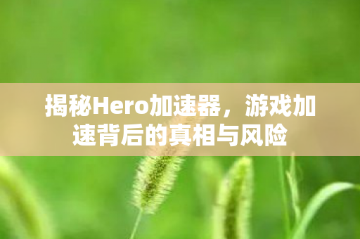 游戏加速背后的真相与风险图片