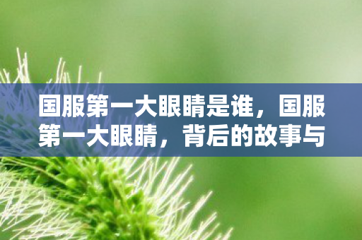 国服第一大眼睛是谁图片