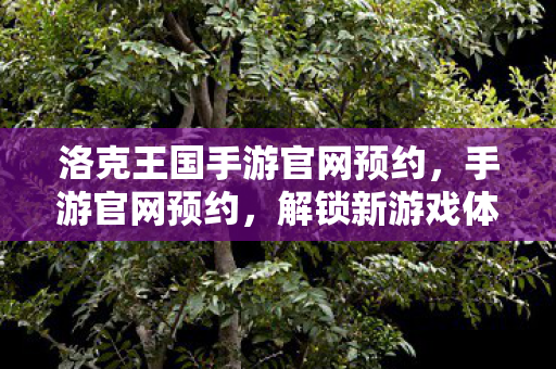 洛克王国手游官网预约图片