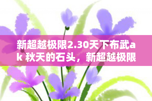 30天下布武ak 秋天的石头图片