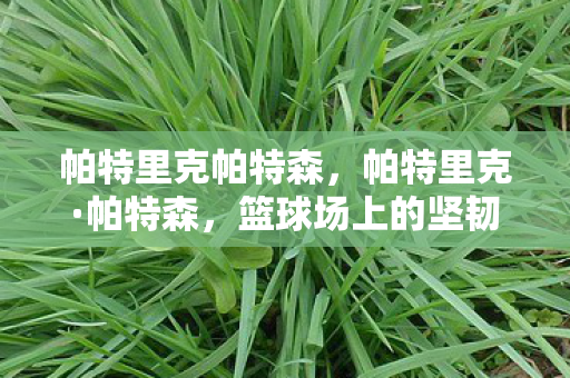 帕特里克帕特森，帕特里克·帕特森，篮球场上的坚韧战士