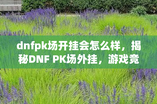 dnfpk场开挂会怎么样图片