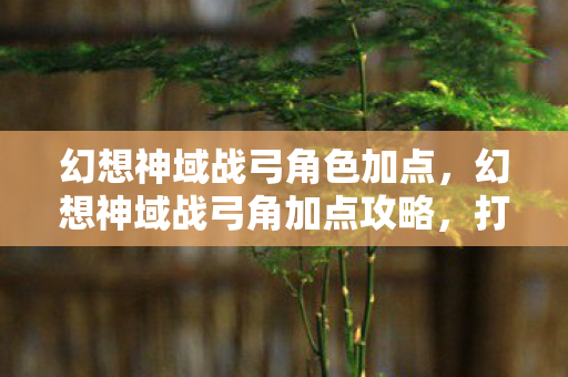 幻想神域战弓角加点攻略图片