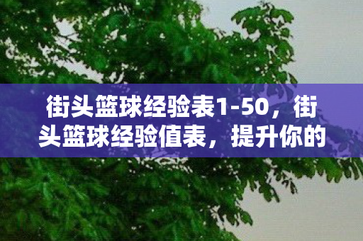 街头篮球经验表1图片