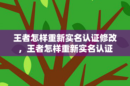 王者怎样重新实名认证修改图片