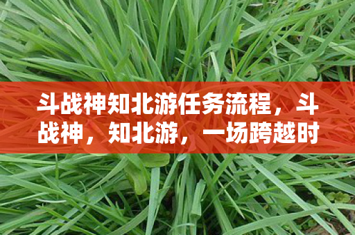 一场跨越时空的冒险之旅图片