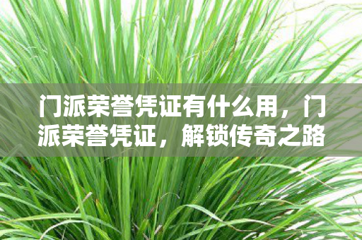 门派荣誉凭证有什么用图片