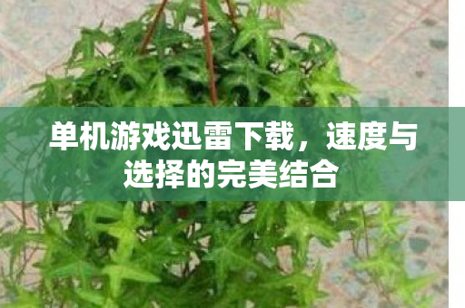 单机游戏迅雷下载，速度与选择的完美结合