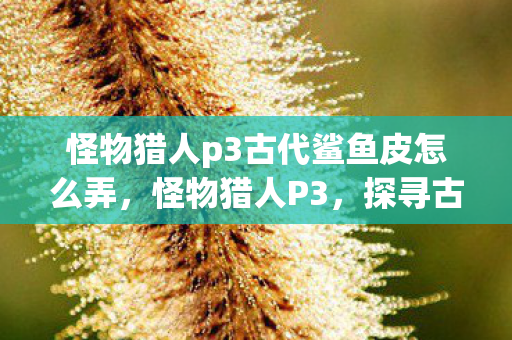 怪物猎人p3古代鲨鱼皮怎么弄，怪物猎人P3，探寻古代鲨鱼皮的神秘之旅