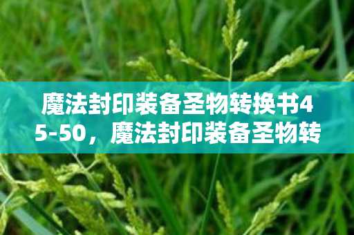 魔法封印装备圣物转换书45-50，魔法封印装备圣物转换书，解锁装备新境界的秘钥