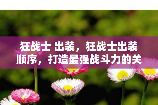 狂战士 出装，狂战士出装顺序，打造最强战斗力的关键步骤