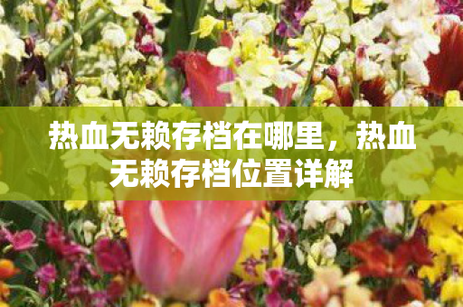 热血无赖存档在哪里,热血无赖存档位置详解 热血无赖存档在哪里,热血无赖存档位置详解