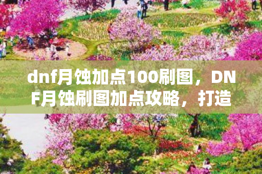 dnf月蚀加点100刷图，DNF月蚀刷图加点攻略，打造高效战斗力的关键