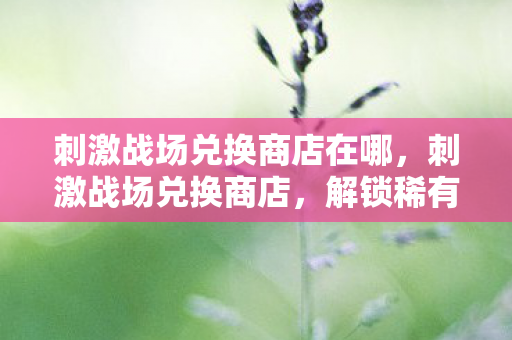 刺激战场兑换商店在哪，刺激战场兑换商店，解锁稀有装备，打造无敌战斗体验