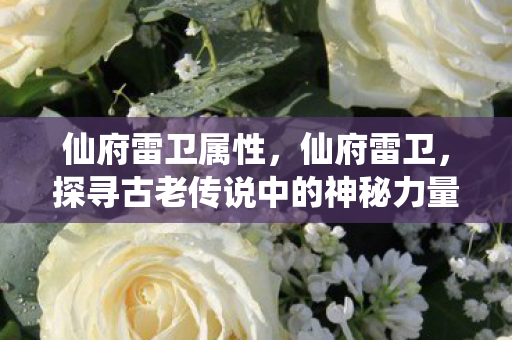 仙府雷卫属性，仙府雷卫，探寻古老传说中的神秘力量