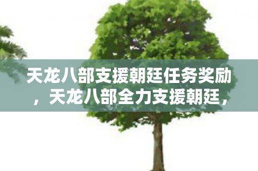 天龙八部支援朝廷任务奖励，天龙八部全力支援朝廷，团结与荣耀的象征