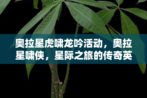 奥拉星虎啸龙吟活动,奥拉星啸侠,星际之旅的传奇英雄 奥拉星虎啸龙吟活动,奥拉星啸侠,星际之旅的传奇英雄